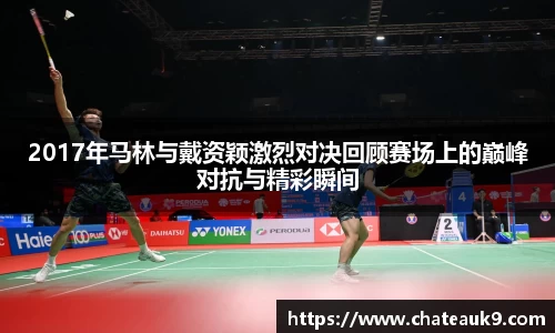 2017年马林与戴资颖激烈对决回顾赛场上的巅峰对抗与精彩瞬间